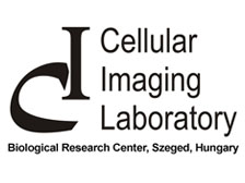 Cellular Imaging Laboratory.jpg