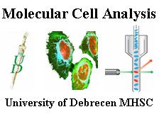 Molecular Cell Analysis Core Facility.jpg